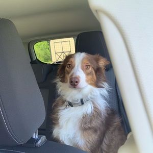 Meet your Posher, Andrew